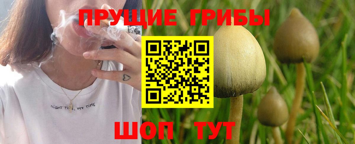 Галлюциногенные грибы ЛСД  Вход с VPN  Азнакаево 